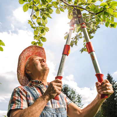 BlueStone Garden - WOLF Garten Power Cut Bypass Lopper RR900T