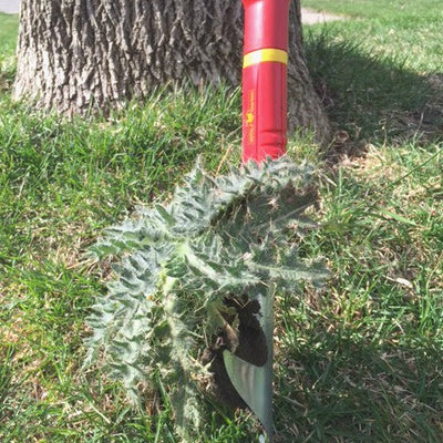 Weeding Tools - BlueStone Garden - WOLF-Garten Thistle and Weed Extractor - IWM