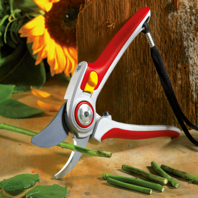 Pruners - WOLF-Garten Professional Bypass Pruner RR5000 - BlueStoneGarden