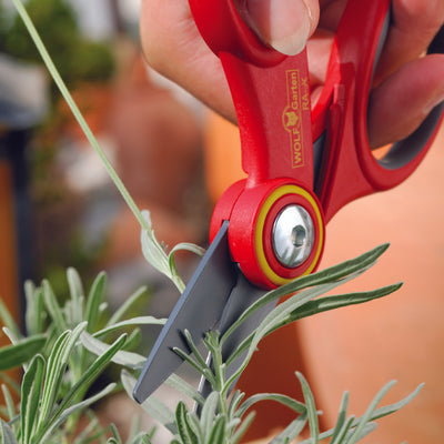 BlueStone Garden WOLF-Garten Comfort Floral Scissors - RAX