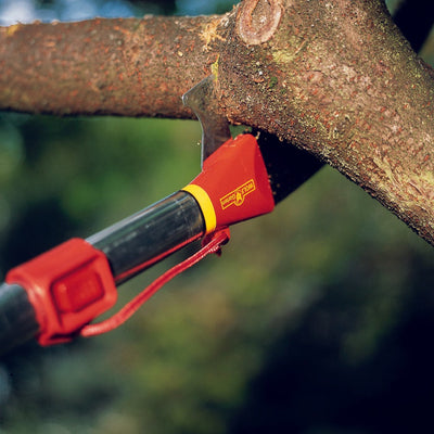 BlueStoneGarden - WOLF-Garten - Tree Saw Pro - REPM - tree saw