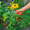 BlueStone Garden | Pruners & Cutting Tools: WOLF Garten Premium Plus Anvil Pruner