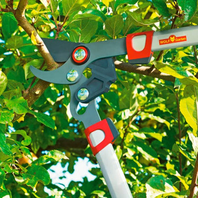BlueStone Garden | Tree Loppers | WOLF-Garten Bypass Lopper RR650