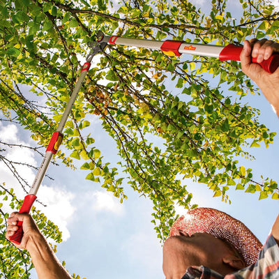BlueStone Garden | Tree Loppers | WOLF-Garten Bypass Lopper RR650