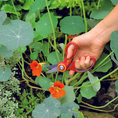 BlueStone Garden WOLF-Garten Comfort Floral Scissors - RAX