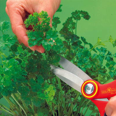 BlueStone Garden WOLF-Garten Comfort Floral Scissors - RAX