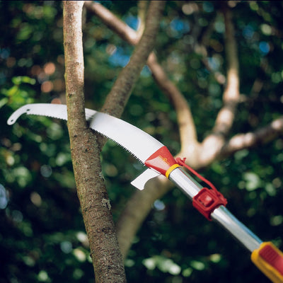 13 ft Pole Saw - WOLF-Garten Pole Saw Set - BlueStoneGarden