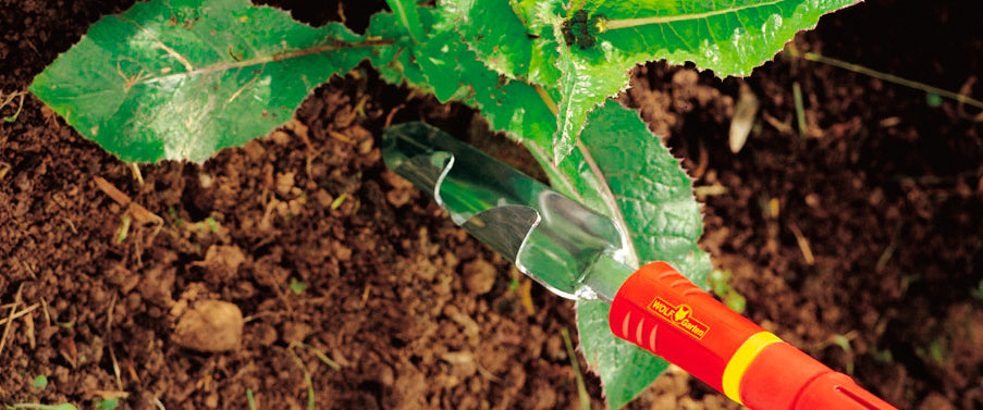 Weeding Tools & Weeders