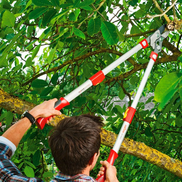BlueStoneGarden | WOLF Garten Telescoping Anvil Lopper RR900T