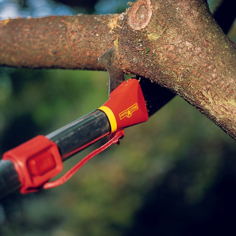 13 ft Pole Saw - WOLF-Garten Pole Saw Set - BlueStoneGarden