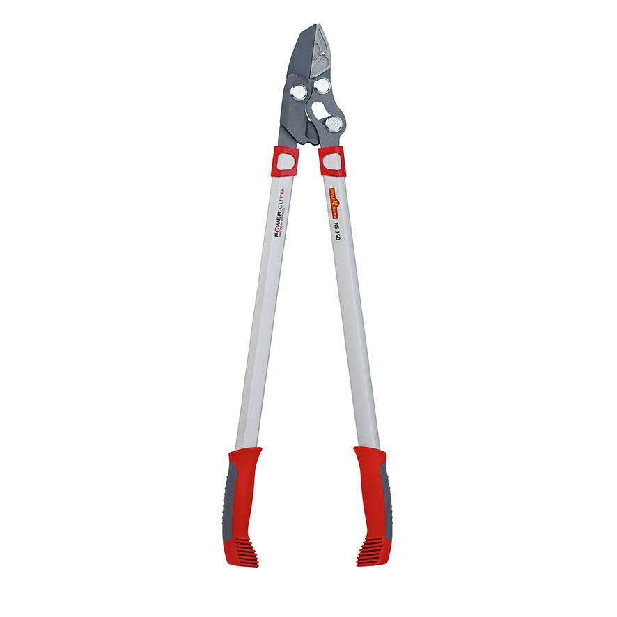 BlueStone Garden - WOLF-Garten Anvil Lopper 29.5” - RS750