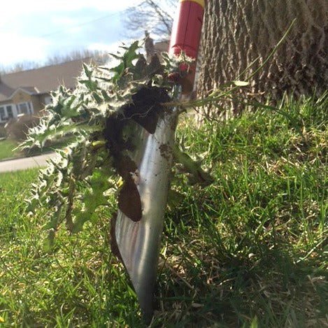 Weeding Tools - BlueStone Garden - WOLF-Garten Thistle and Weed Extractor - IWM