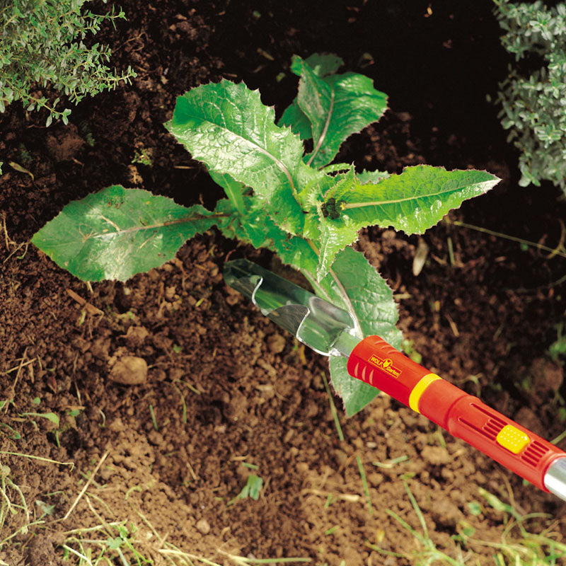 Weeding Tools - WOLF-Garten Weed Removal Tool - BlueStoneGarden