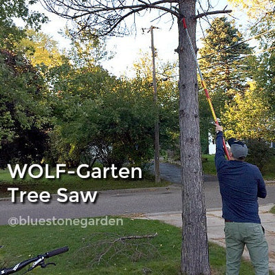 BlueStoneGarden - WOLF-Garten - Tree Saw - SAWPC370MS