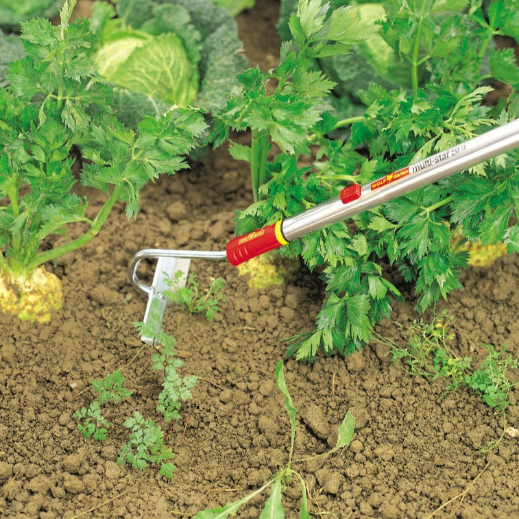 Garden Hoes - WOLF Garden Floral Hoe - BlueStone Garden