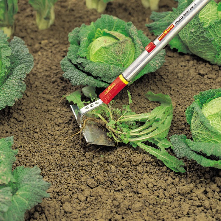 BlueStone Garden - WOLF Garten Mounding Hoe - HWM15