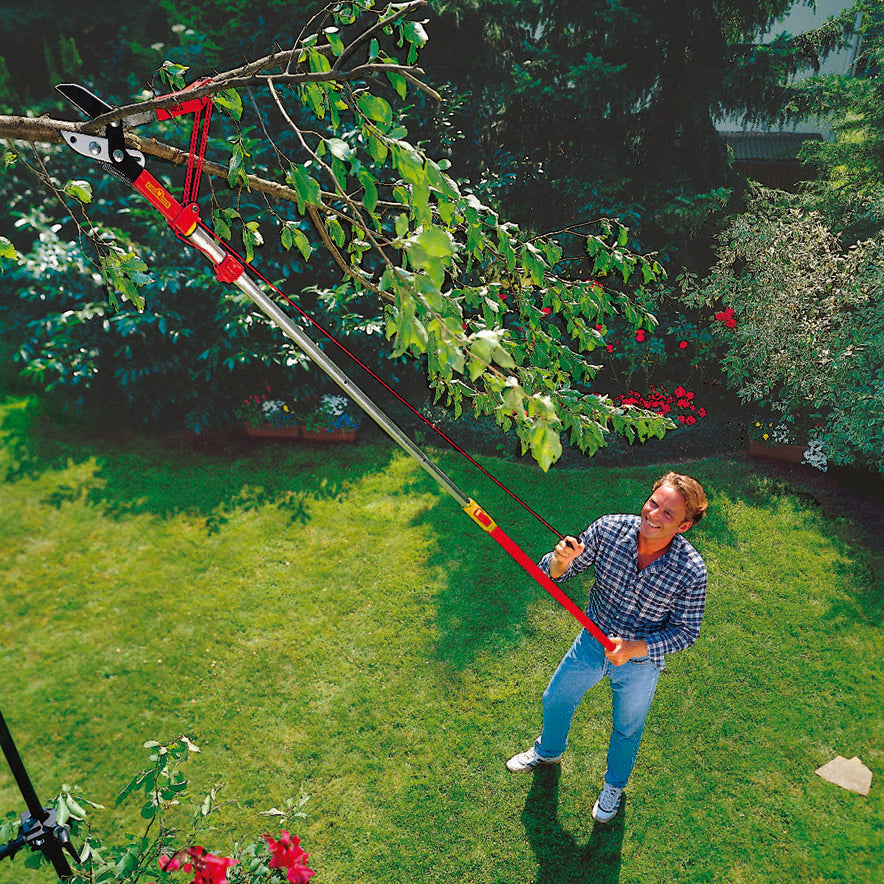 New Telescopic Anvil Lopper Pruner | Garden Tree & Hedge Cutting Tool | Orange Handle