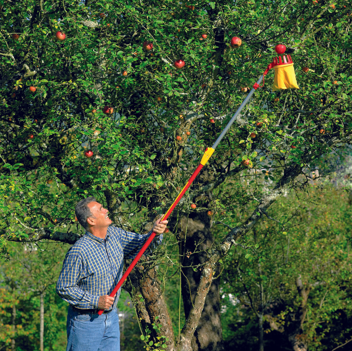 Kotyreds Fruit Picker Gripper Tree Long Cutter Catcher Pole, Greenhouse  Gardening Tools