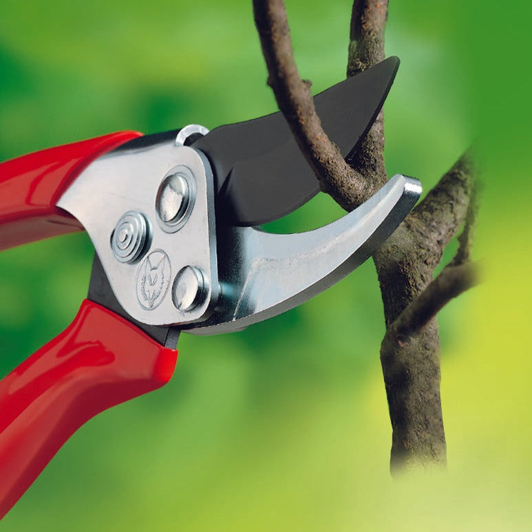 Pruning Shears For Small Hands, Adjustable Bypass Gardening Pruners, Garden  Scissors 