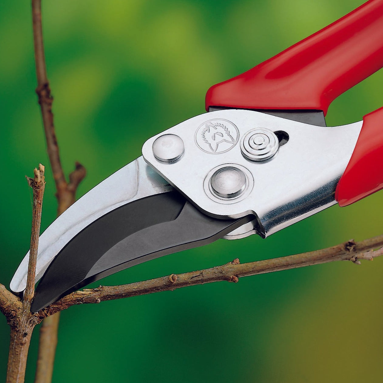 Pruning Shears - Straight Blade – Farmers Defense
