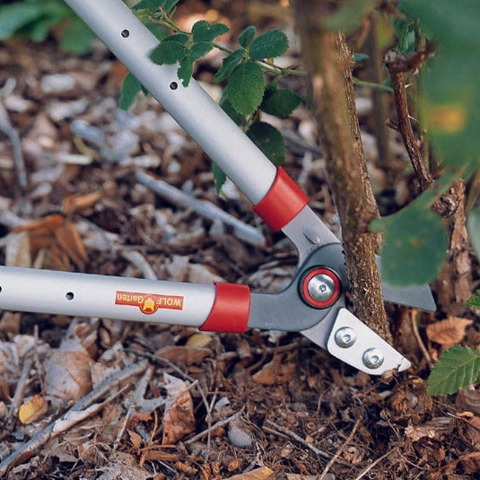 shuffle salt Roux Loppers & Tree Cutting Tools | WOLF Garten Anvil Lopper RS650: BlueStone  Garden - Wolf Garten USA