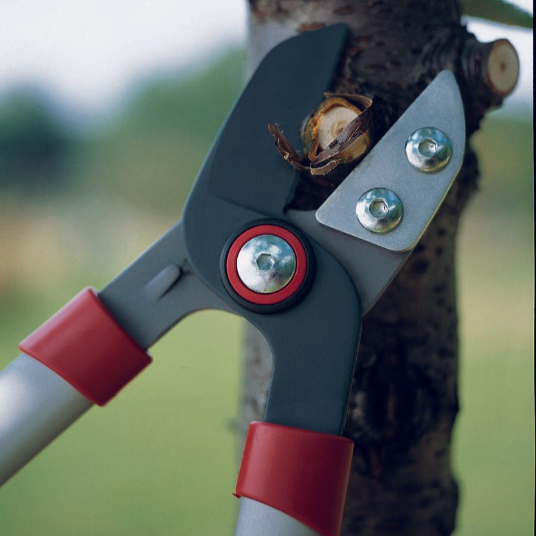 BlueStone Garden - WOLF-Garten Anvil Lopper 29.5” - RS750