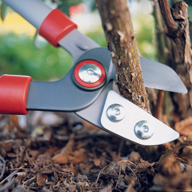 BlueStone Garden - WOLF-Garten Anvil Lopper 29.5” - RS750