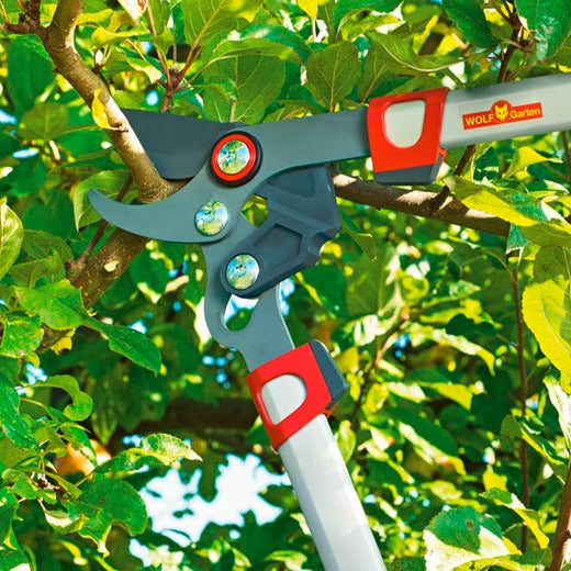 BlueStone Garden | Loppers | WOLF Garten Bypass Lopper 29.5” RR750