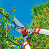 Hedge Shears - WOLF-Garten Telescoping Hedge Shears - BlueStoneGarden