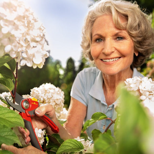 Bypass Pruning Shears | WOLF-Garten Premium Plus Bypass Pruner - BlueStoneGarden