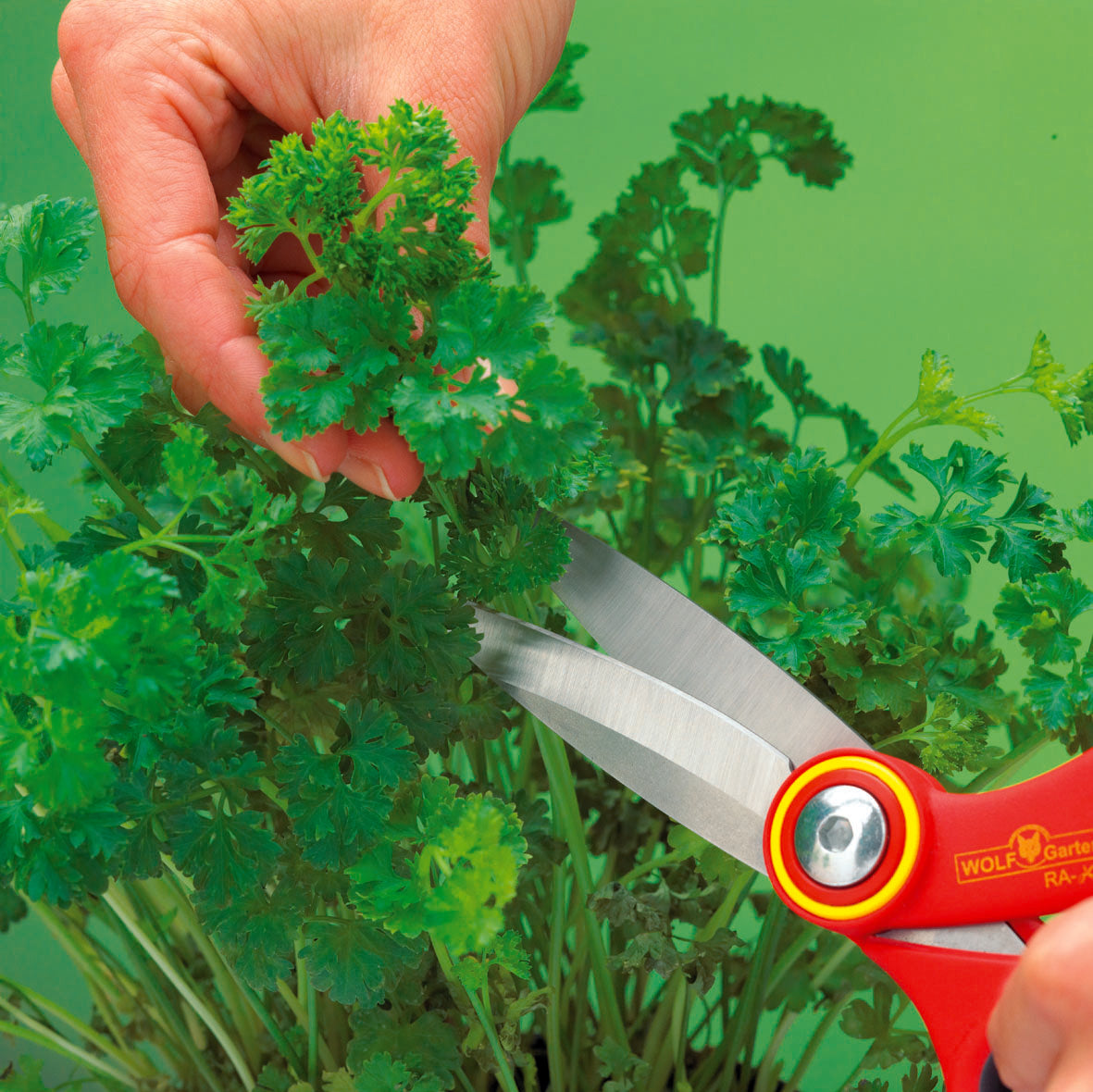 garden scissors made in usa Scissors & Shears | WOLF Garten Universal Scissors at BlueStone Garden