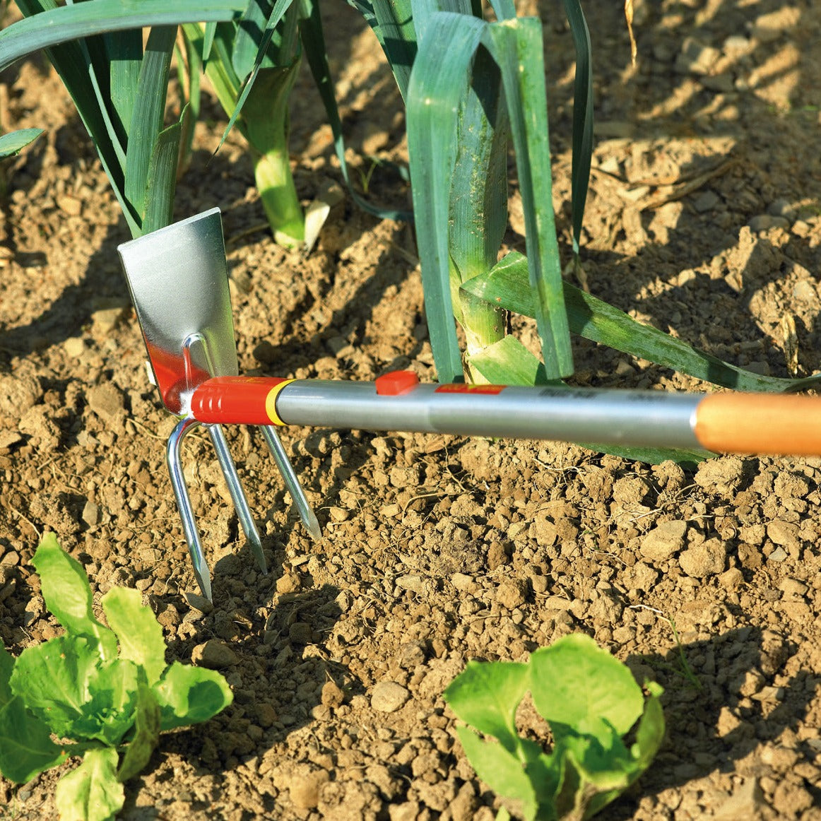 Garden Hoe - WOLF Garten Duo Hoe ILM3 - BlueStone Garden